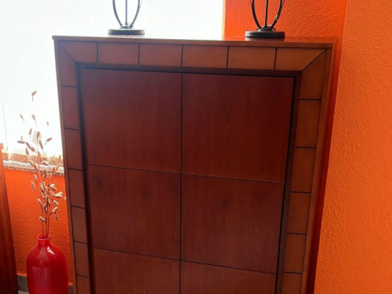 Recibidor moderno con puertas
