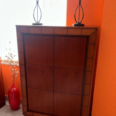 Recibidor moderno con puertas